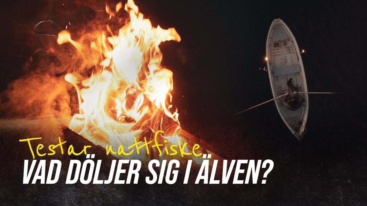 Vad döljer sig i älven? | Fiskar i midvinternatten