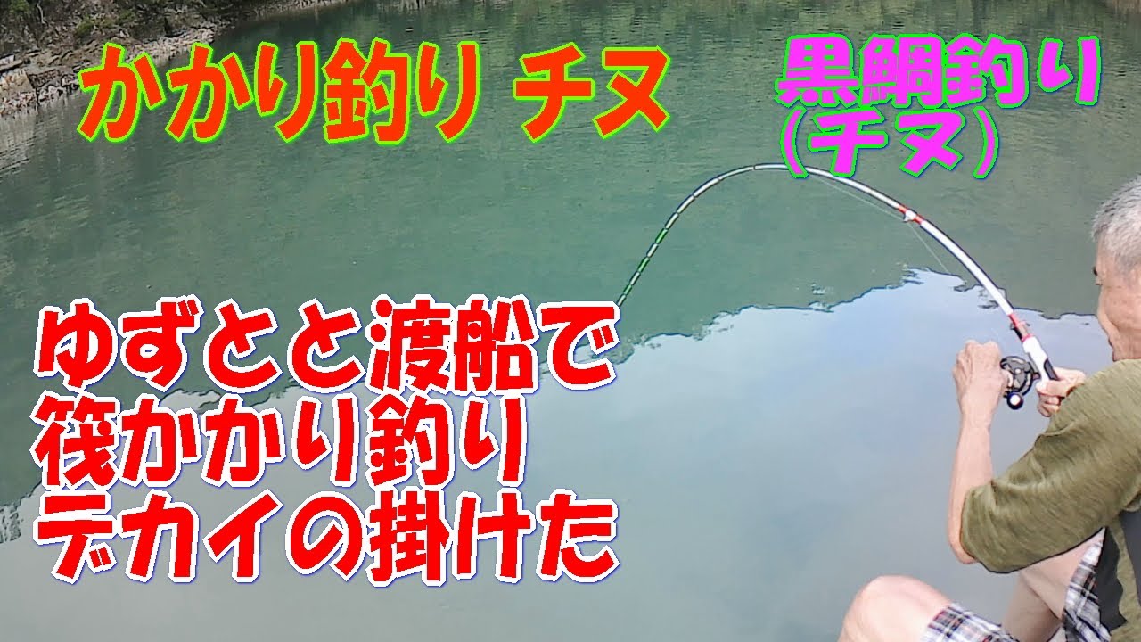 (チヌ 黒鯛釣り) ゆずとと渡船３号筏のかかり釣りでチヌを狙いました。【チヌじぃー】
