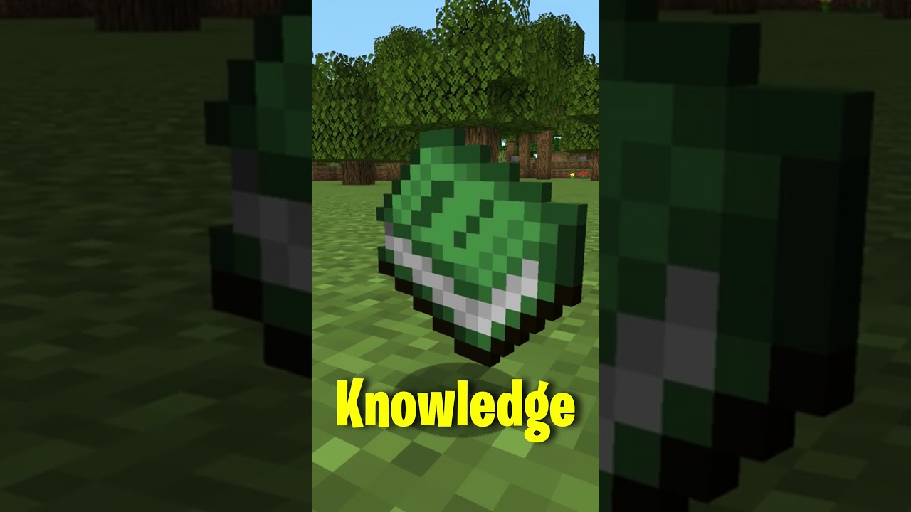 The Recipe Book Is A REAL Item! 