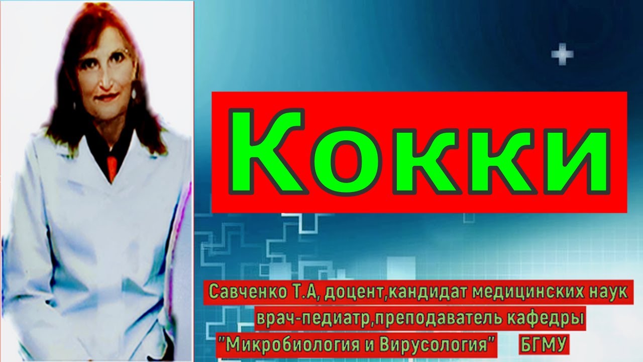 Микробиология, постулат # 16  ,   Кокки  , #shorts