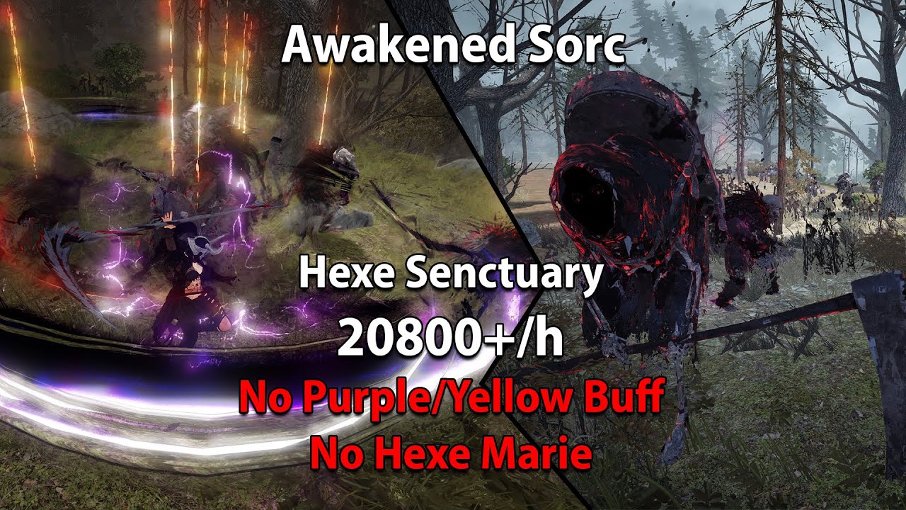 BDO 20800/h Lvl2 LS Hexe Sanctuary Awakened Sorc 307ap Acc Offhand