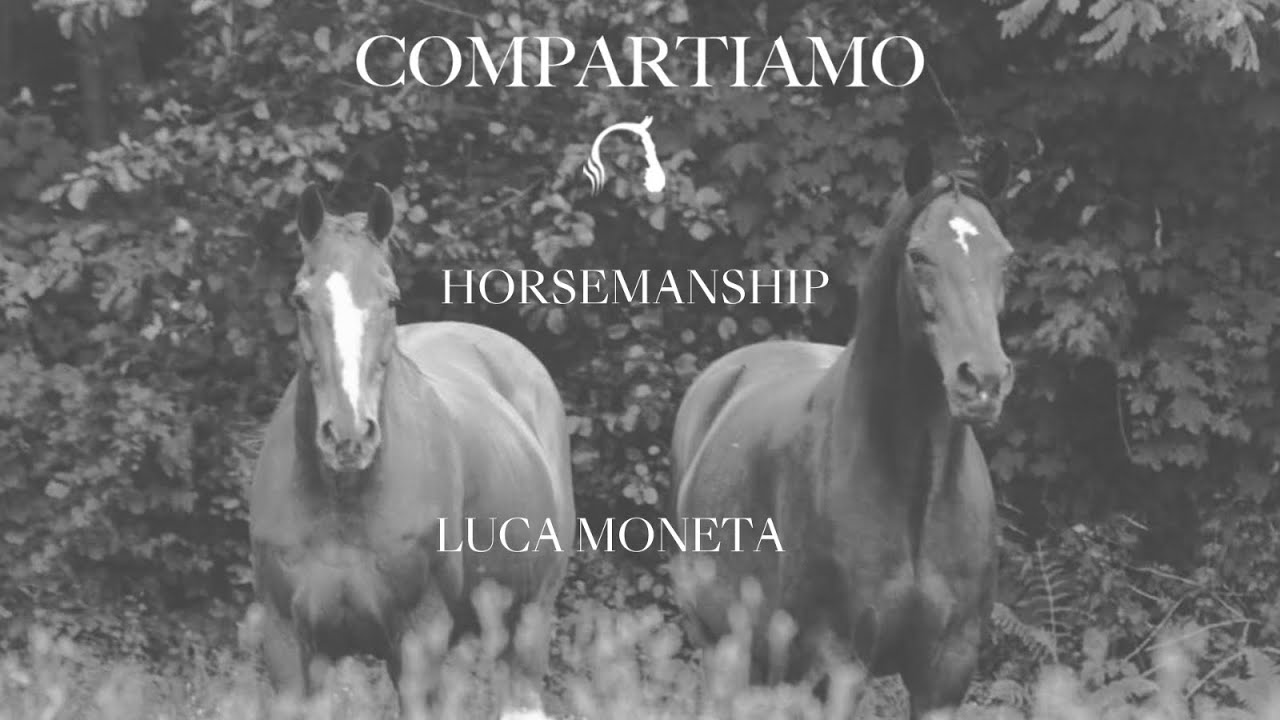 Lavoro con cavallo difficile - Luca Moneta