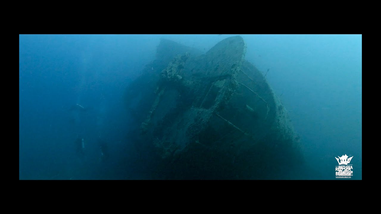Thistlegorm, thresher and hammerhead sharks, trip #13 (2021)