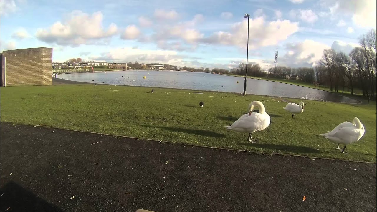 Killingworth Lake   Time Lapse
