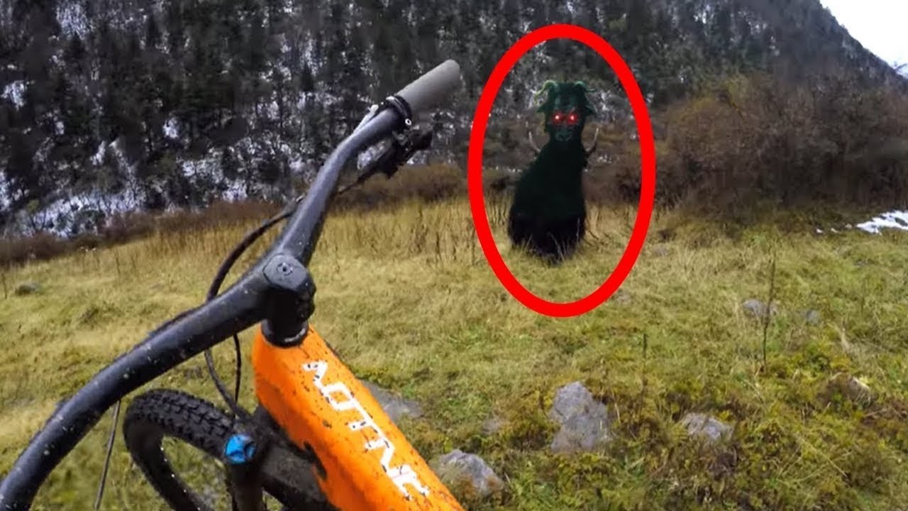 Tato videa nikdo nedokáže vysvětlit!