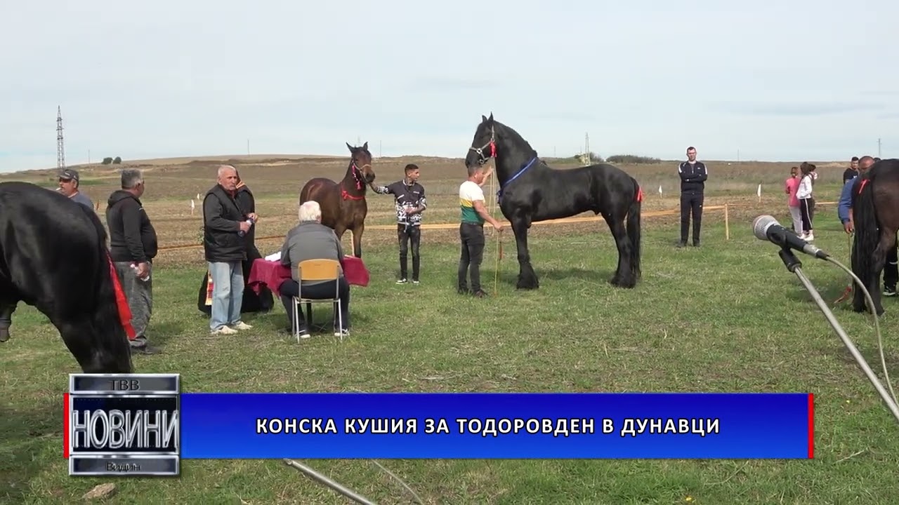 Конска кушия за Тодоровден в Дунавци