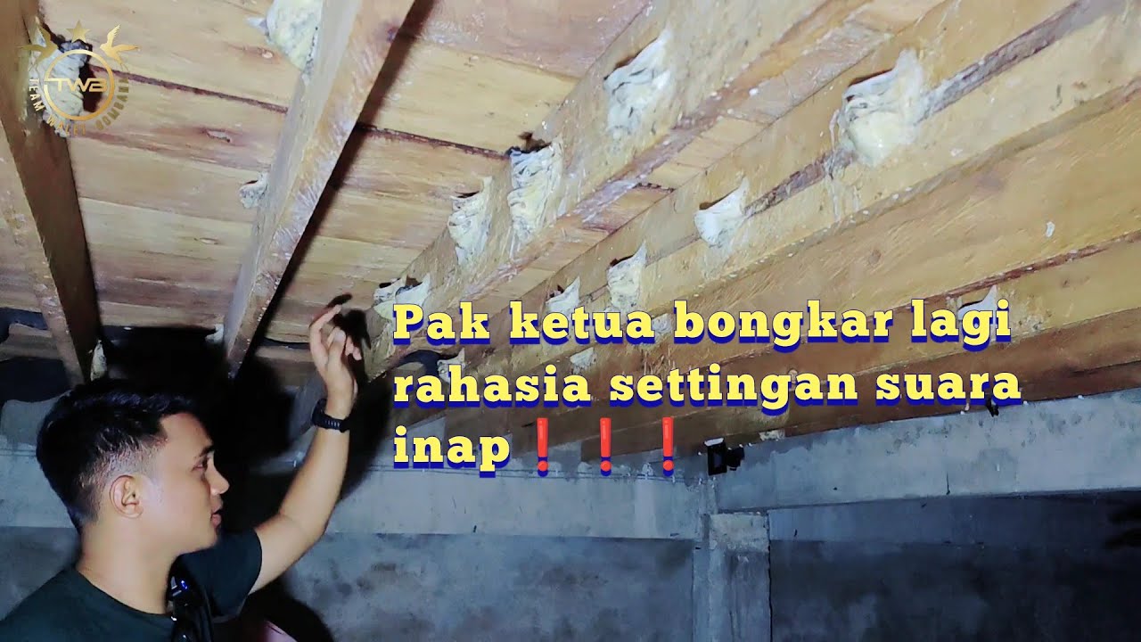 ANDI SUFAR BONGKAR LAGI RAHASIA SETTINGAN SUARA INAP ❗❗❗