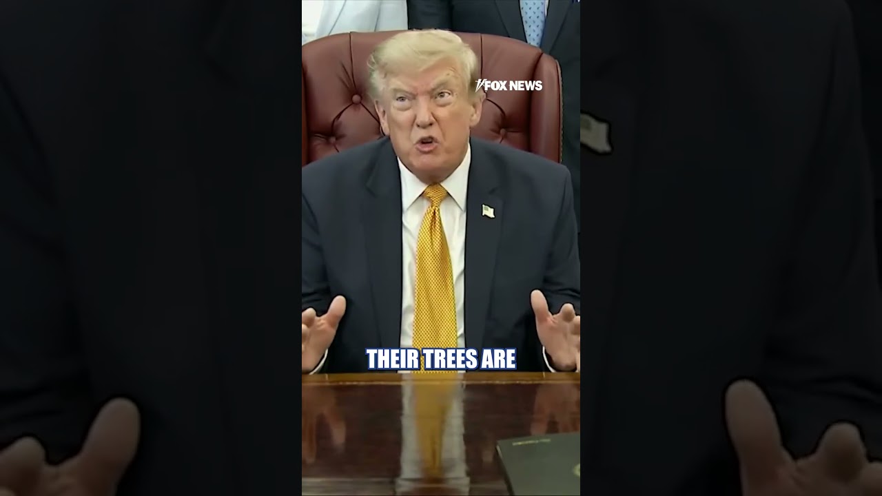 Trump RIPS blue cities: &lsquo;They are FILTHY, DIRTY&rsquo; #shorts #news #foxnews #us