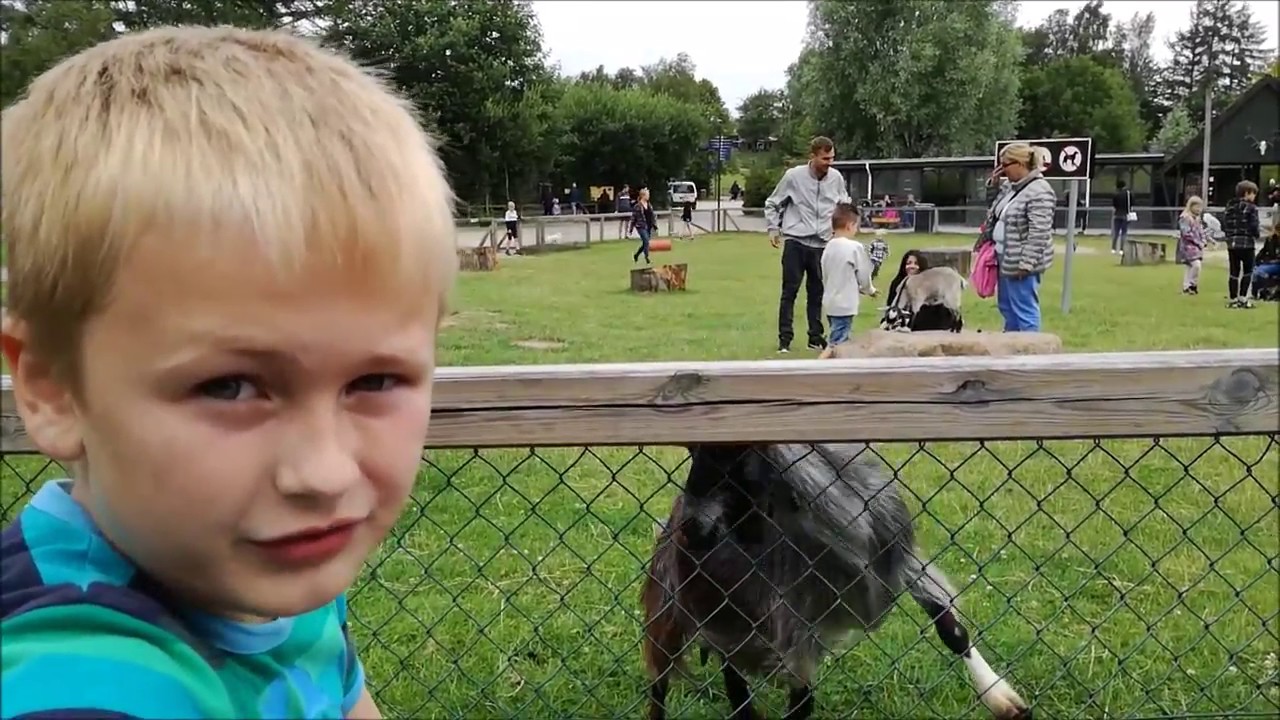 Givskud Zoo 2017