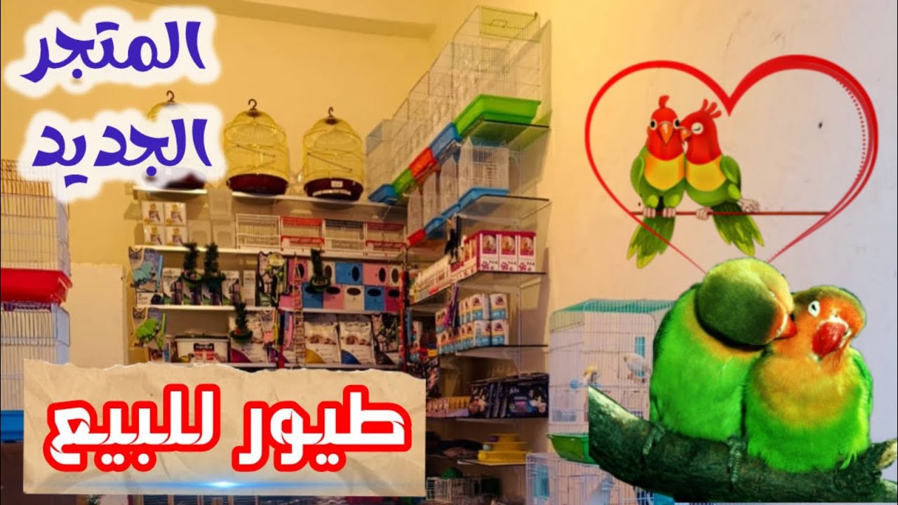 أجي تشوف محل💥 جديد في أكادير 🔥 الحمد لله 🔥 طفرات بثمن جد مناسب 🤯 القوق والبرقوق 🤣