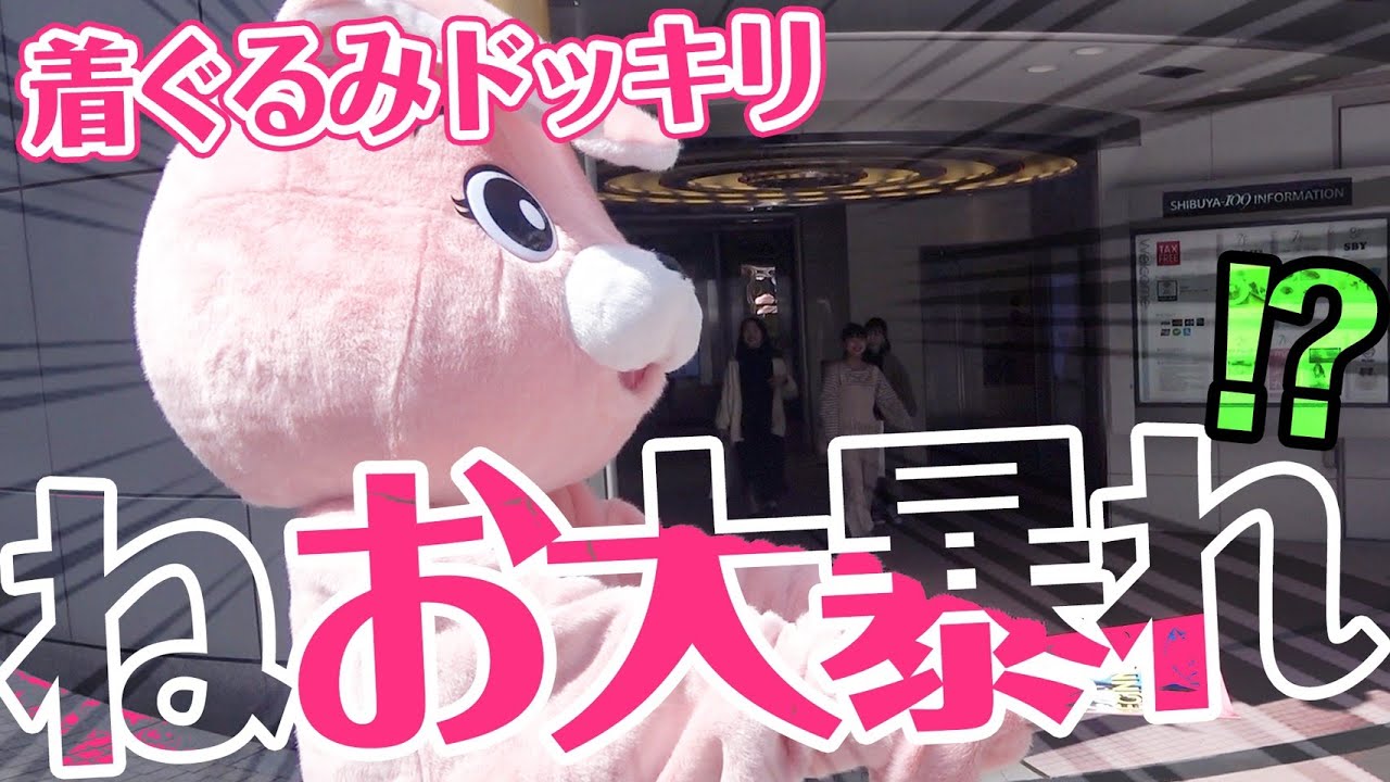 【ドッキリ】もし着ぐるみの中身がねおだったら、、！