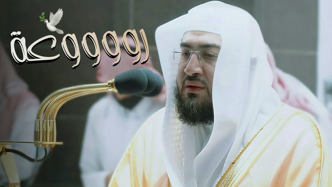 د. بندر بليلة فجرية بياتية هادئة يملؤها الراحة والطمأنينة أرح قلبك بها