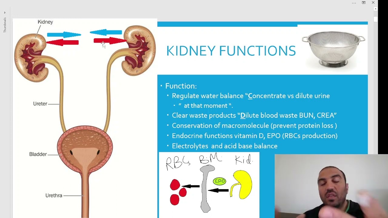Lab diagnostics 9/15:DOG AND CAT BASIC KIDNEY TESTING تحليل انزيمات الكلى الأساسية  حيوانات أليفة