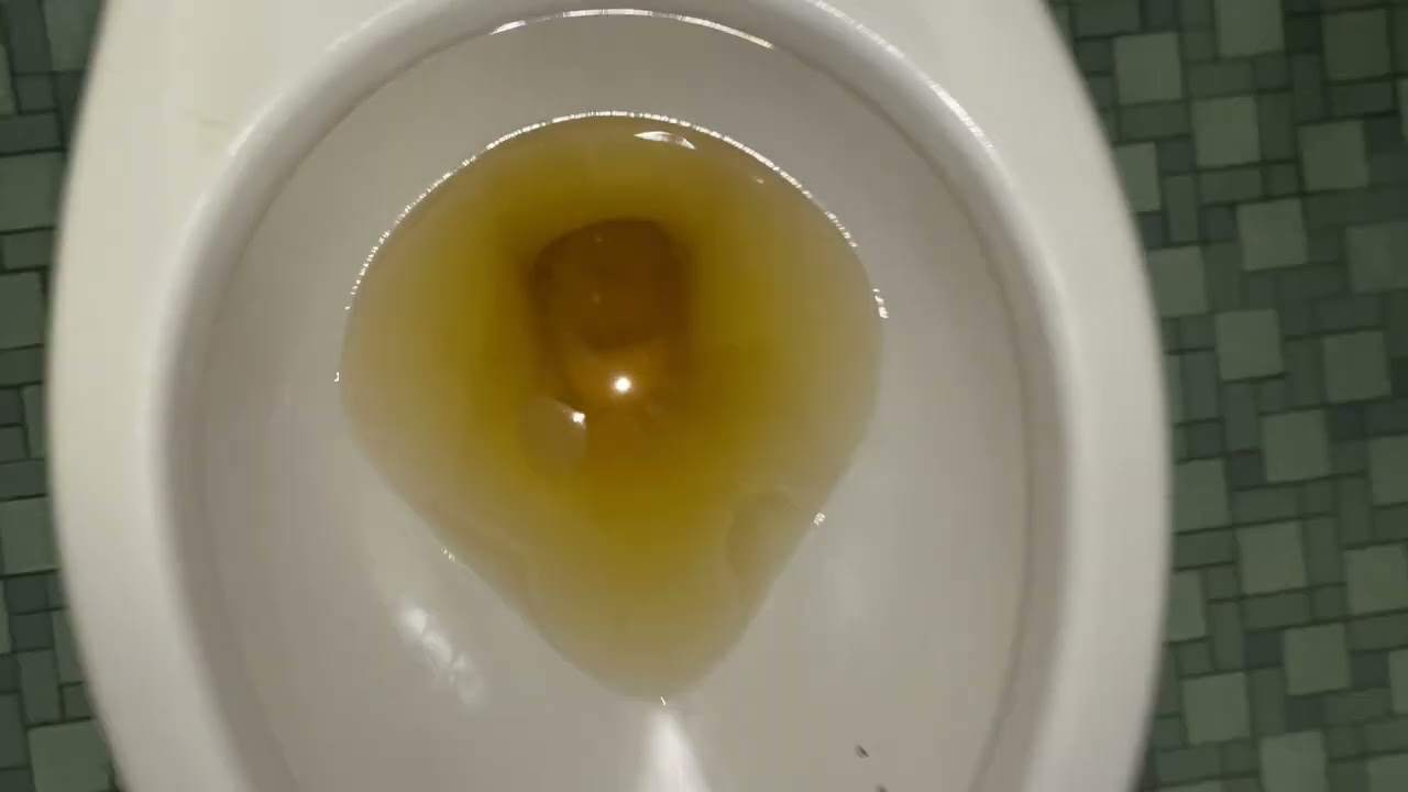 🚽bathroom tour sink and AS urinal and Madera toilet at Alexander Batcho  intermediate school 