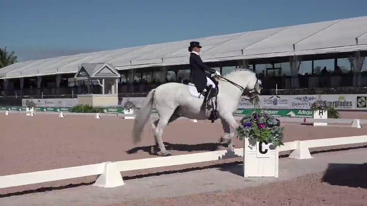 Patterson Dressage Music - The Sound of Music 2017 Inter 1 Freestyle