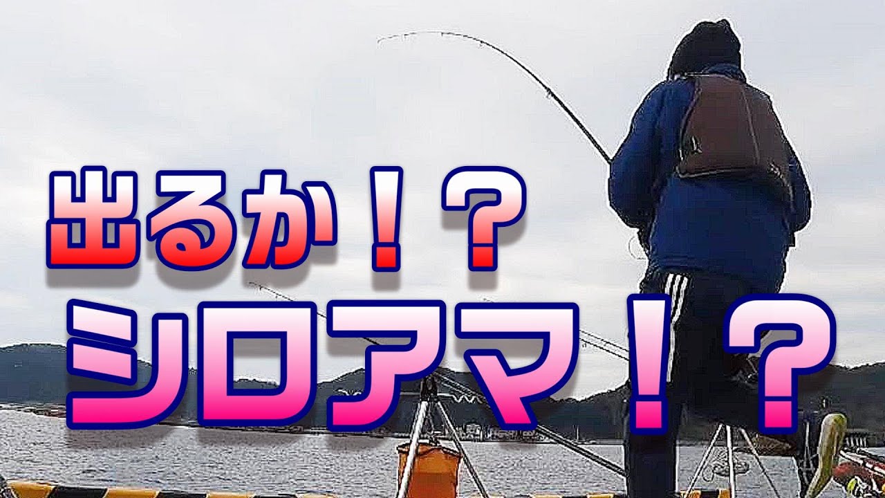 真冬の宇和海で投げ釣り！！シロアマダイ狙いは甘くはなかった！　【魚神の釣りいかれへんわ】