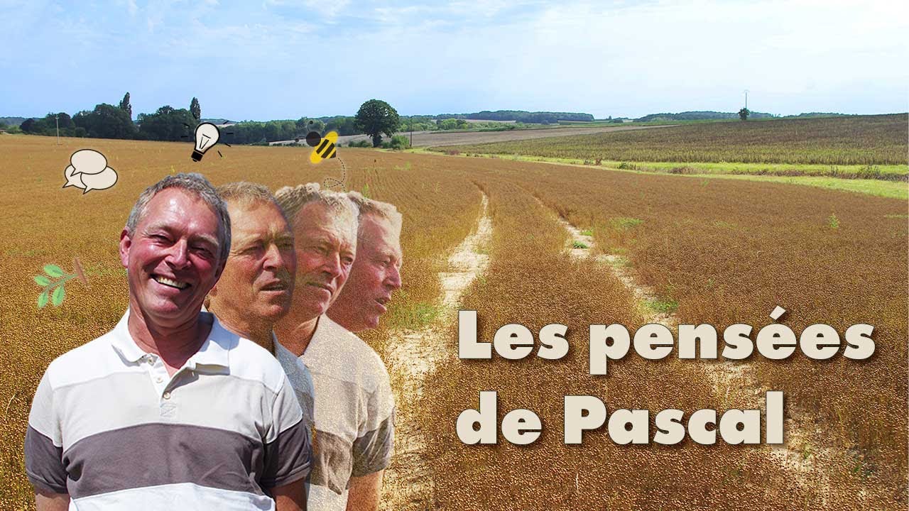 Ep 4 – Pascal producteur de lin fervent défenseur du made in France.