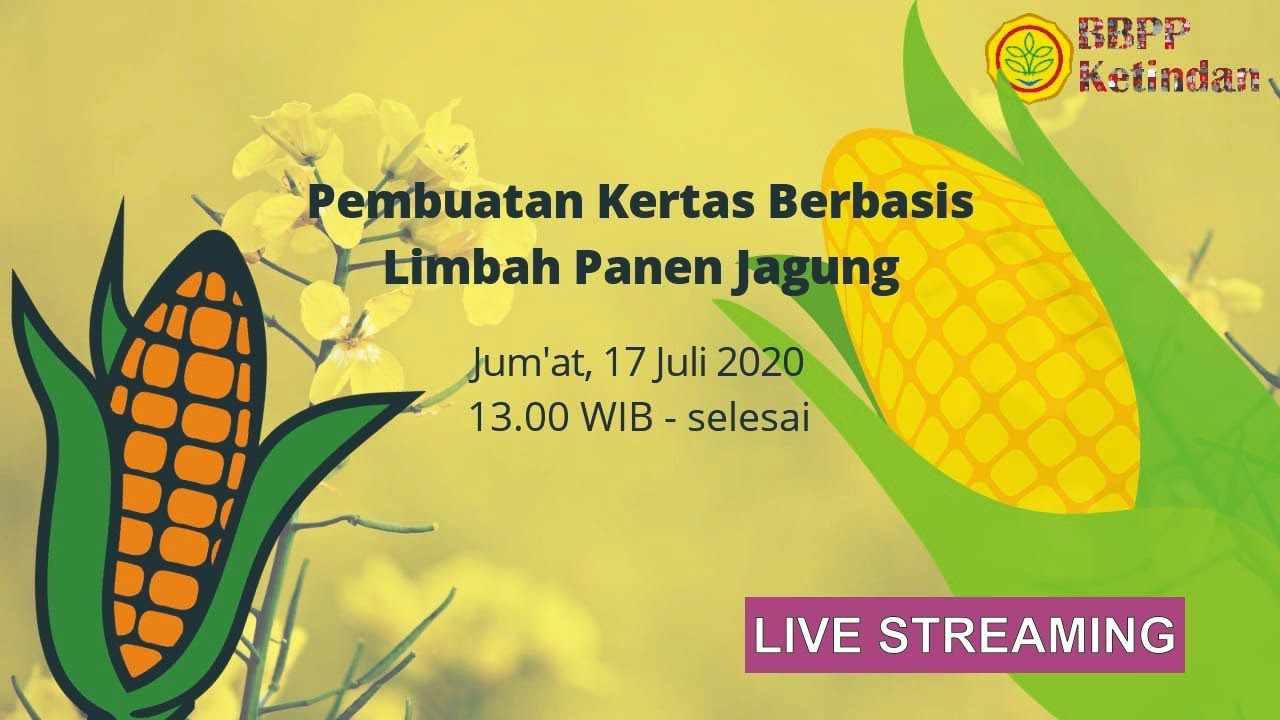 Pembuatan Kertas Berbasis Limbah Panen Jagung