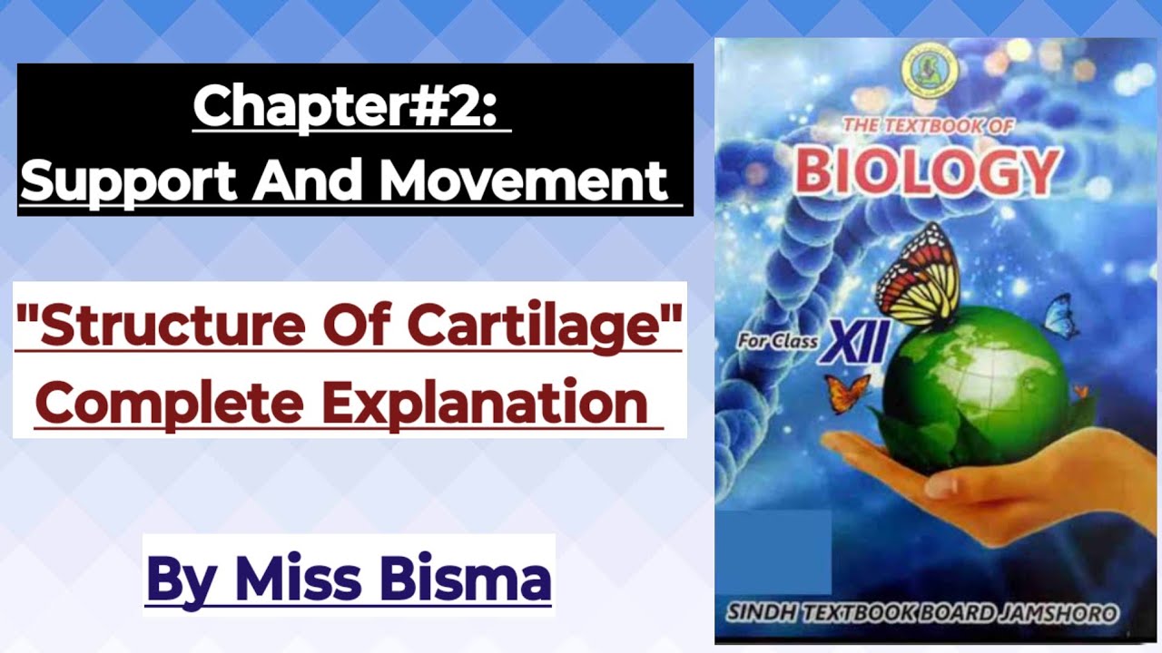 XII Biology Sindh Board Chp Support And Movement Cartilage & It's Types 