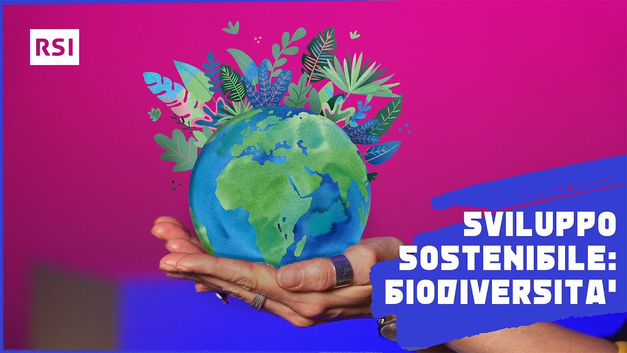 Che valore dai alla biodiversit&agrave;? | Sviluppo sostenibile | RSI EDU