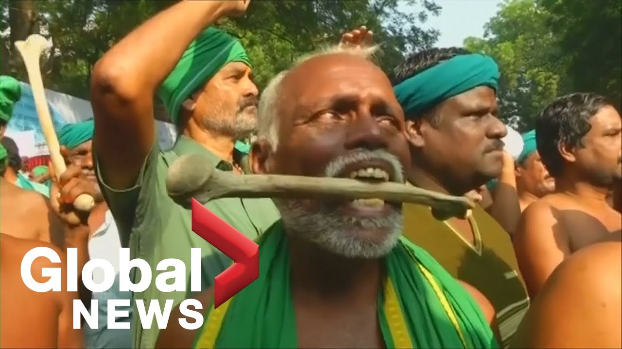 Tens of thousands of farmers in India stage massive protest march