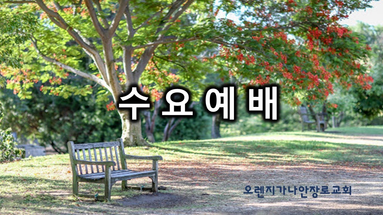 2026년 2월 11일 수요예배 실시간