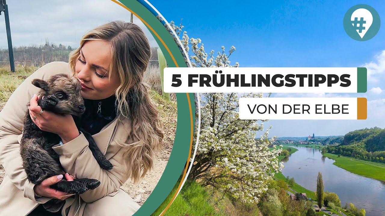 Meißen an der Elbe: Ausflugstipps für DYI-Fans | #hinREISEND