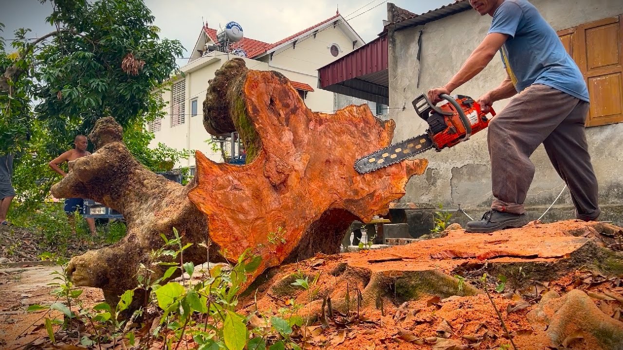 Design A Giant Table From A 100-Year-Old Tree Stump-See How A Carpenter Created Such A Special Piece
