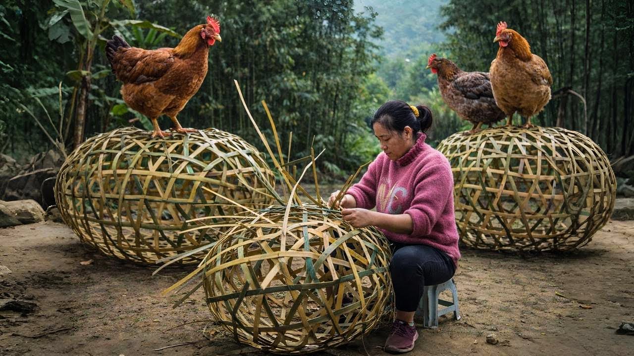 How Many Chickens Does It Take to Test a Handmade Bamboo Basket?