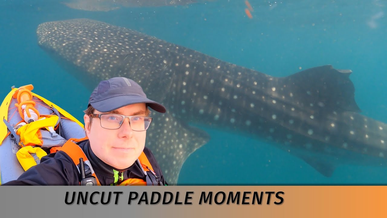 Itiwit X100 2P kayak in Africa & WHALE SHARKS! Inflatable kayak test in Djibouti ( Itiwit X100+ )