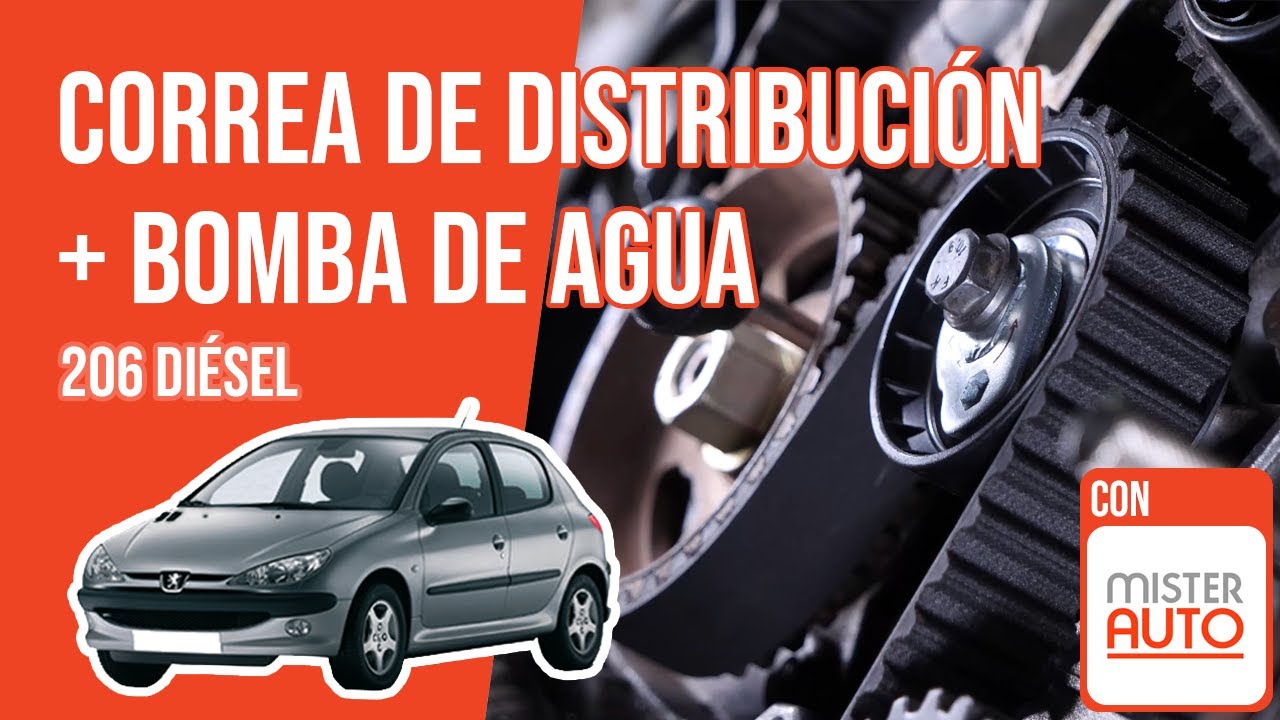Cómo cambiar la correa de distribución y la bomba de agua Peugeot 206 1.4 HDI 🚗
