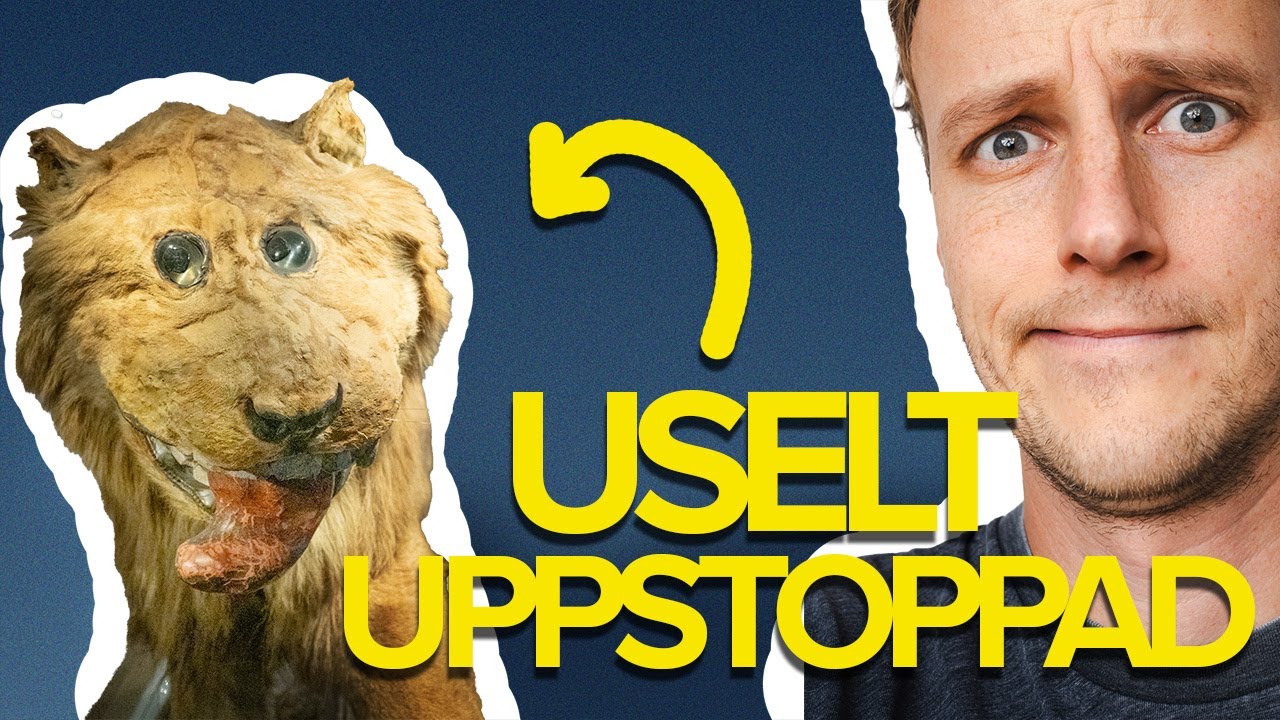 Myten om VÄRLDENS FULASTE LEJON!