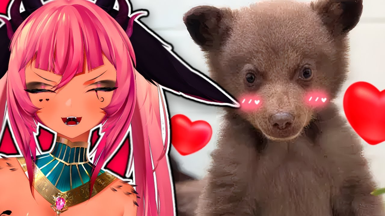 Tricky Reacts To The Ultimate Cute Animal Overload!