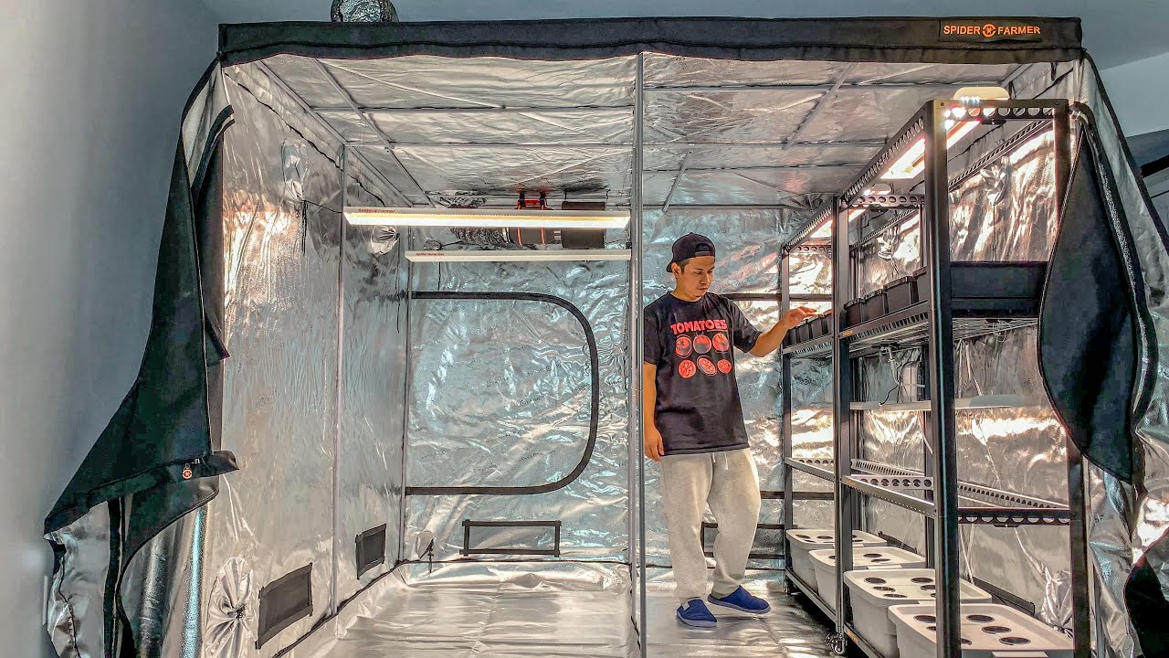 Basement 8x8 grow tent garden setup
