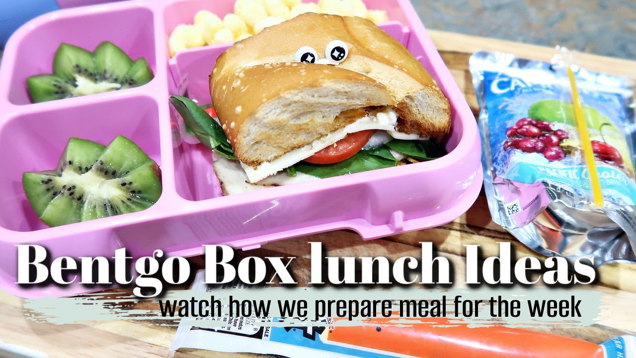 Bentgo Box Lunch Ideas | watch how we prep our meals | Raisinghalo