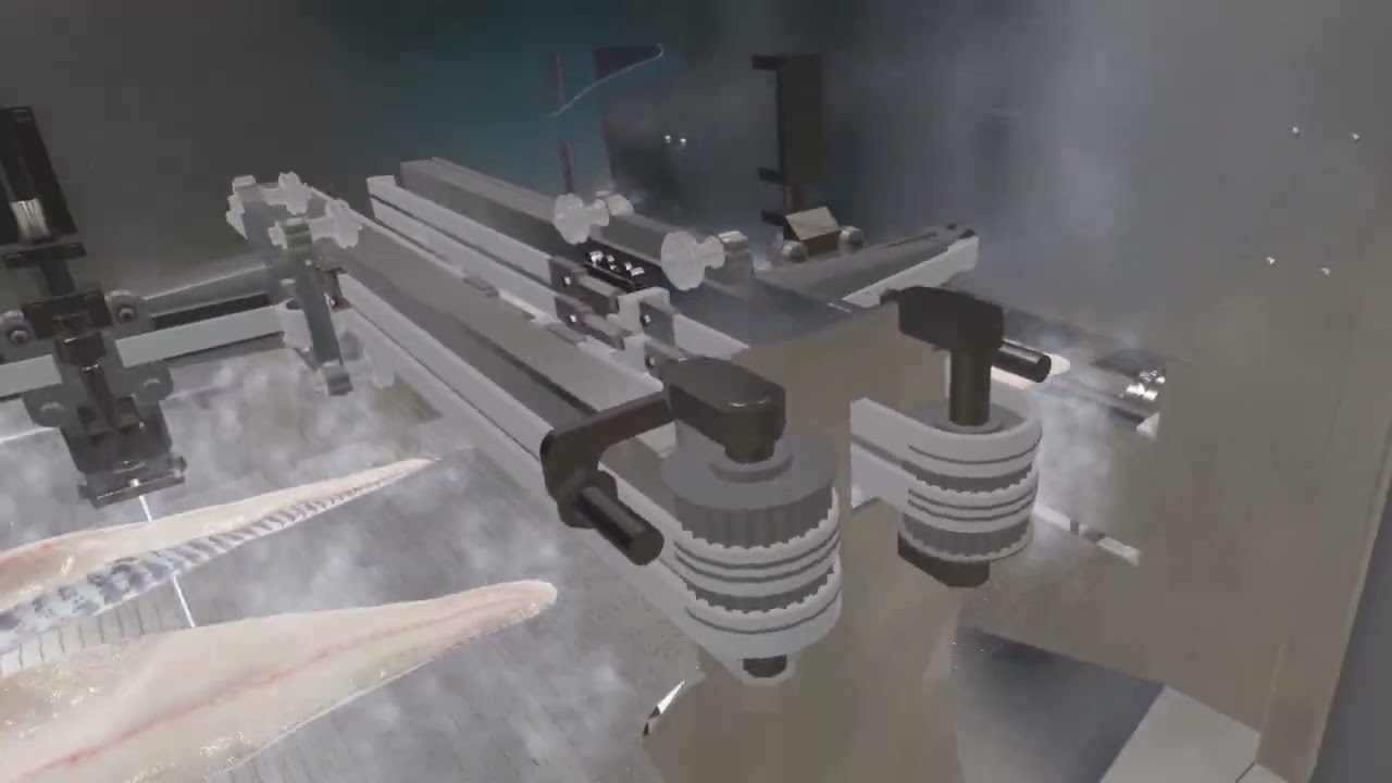 Baader Fish Machinery