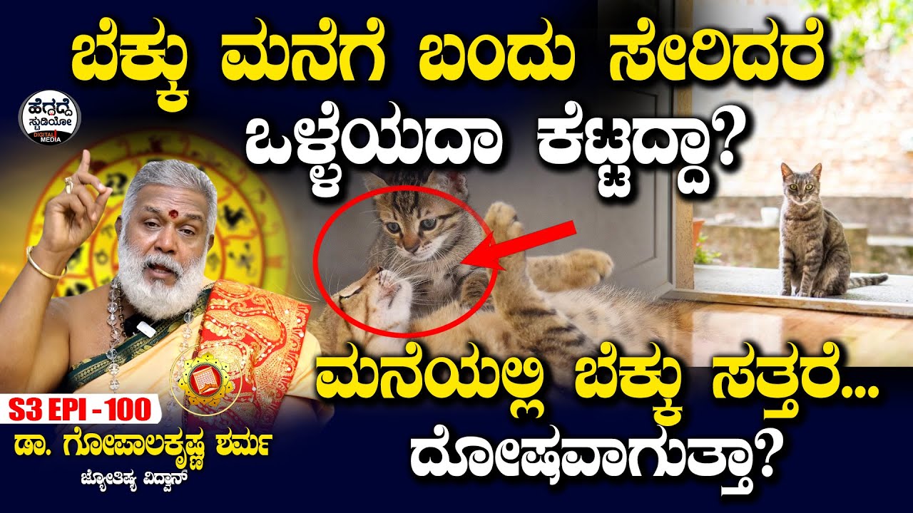 ಬೆಕ್ಕು ಮನೆಗೆ ಬಂದು ಸೇರಿದರೆ ಒಳ್ಳೆಯದಾ ಕೆಟ್ಟದ್ದಾ? | Dr Gopalakrishna Sharma | S3 Epi - 100 | Heggadde