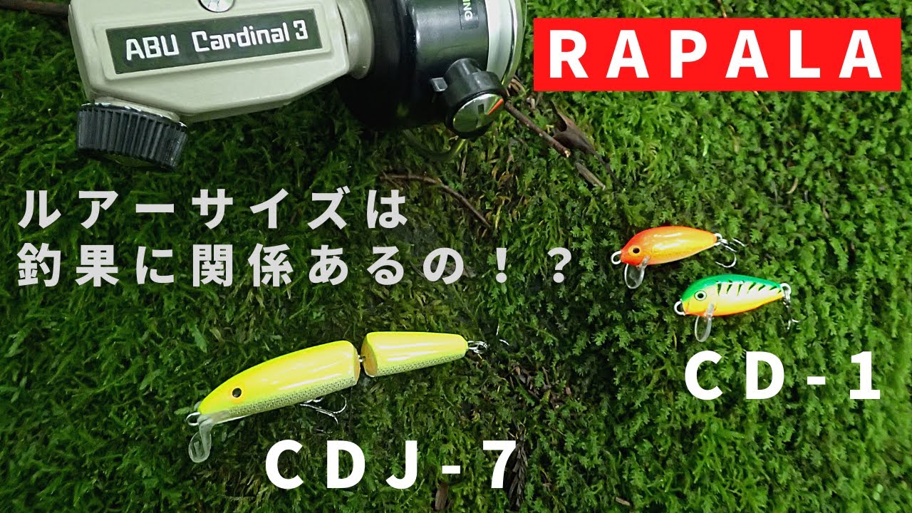 Tried using Rapala CD1 and CDJ7 in a tiny creek (Lure fishing)(Review)