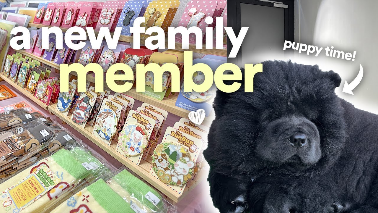 Small business diaries ♡ THE CUTEST CHOW CHOW PUPPY, studio cleaning, making art, & convention prep