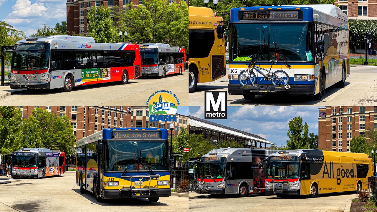 DASH Alexandria Transit Company and WMATA Bus Compilation at King Street-Old Town #4