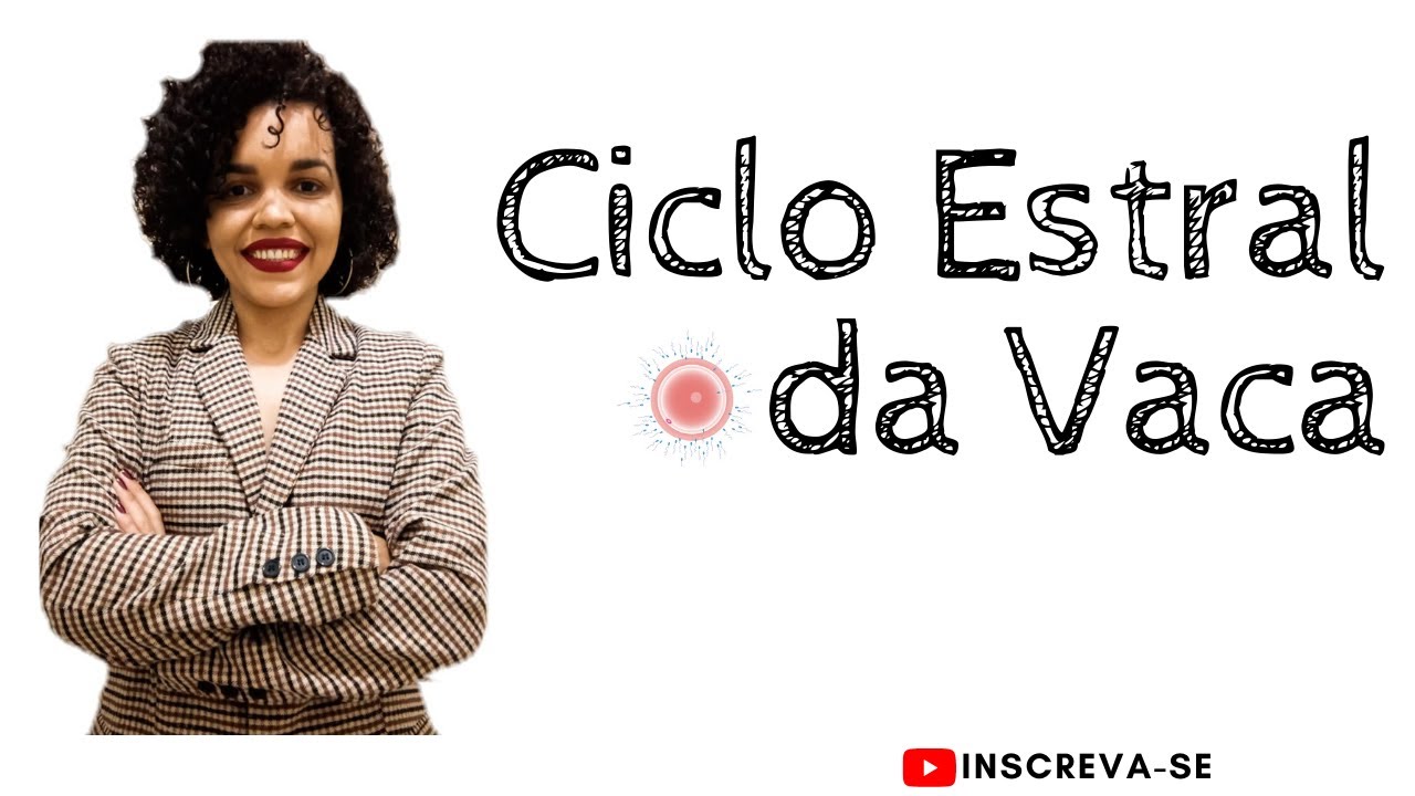 Ciclo Estral da Vaca