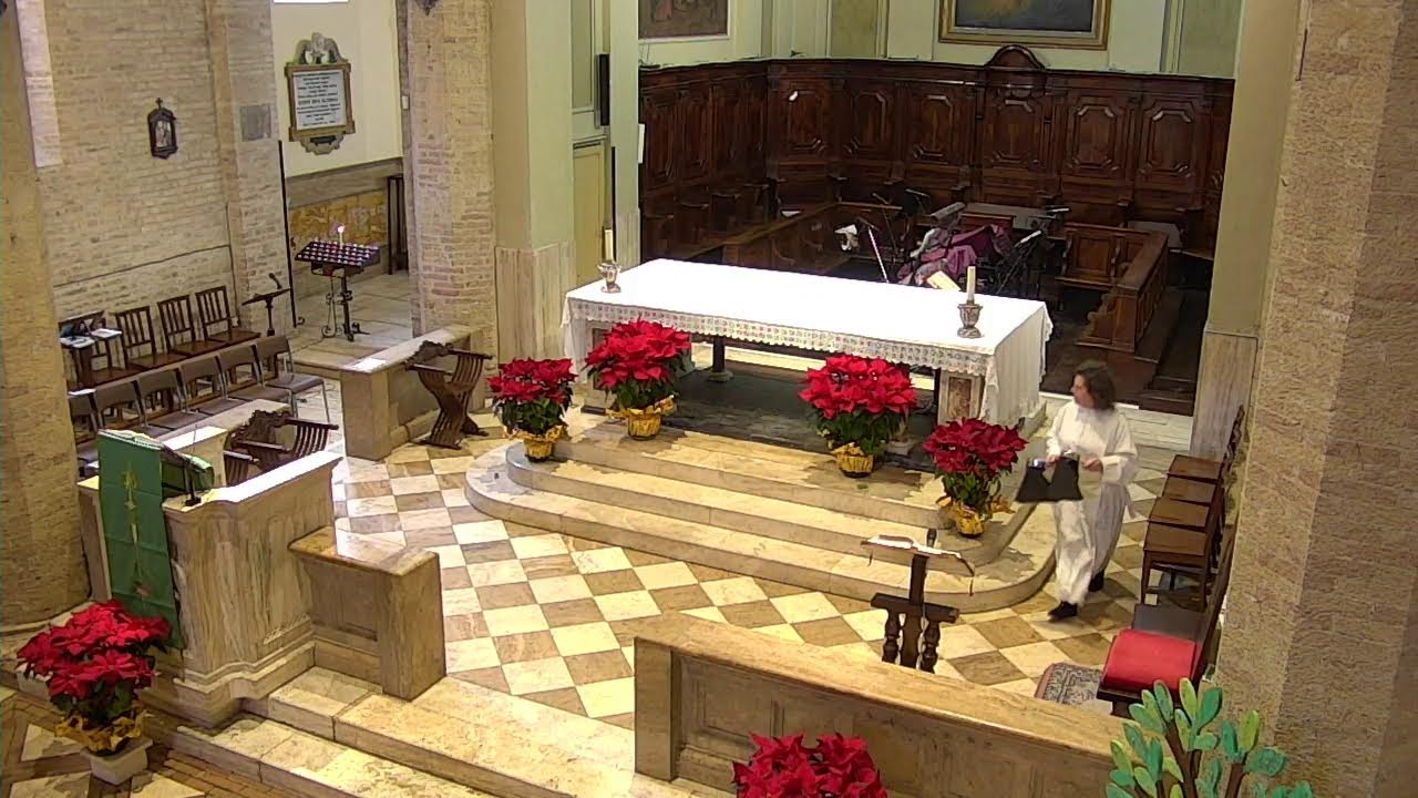 Santa Messa - 25/01/2026 11:30