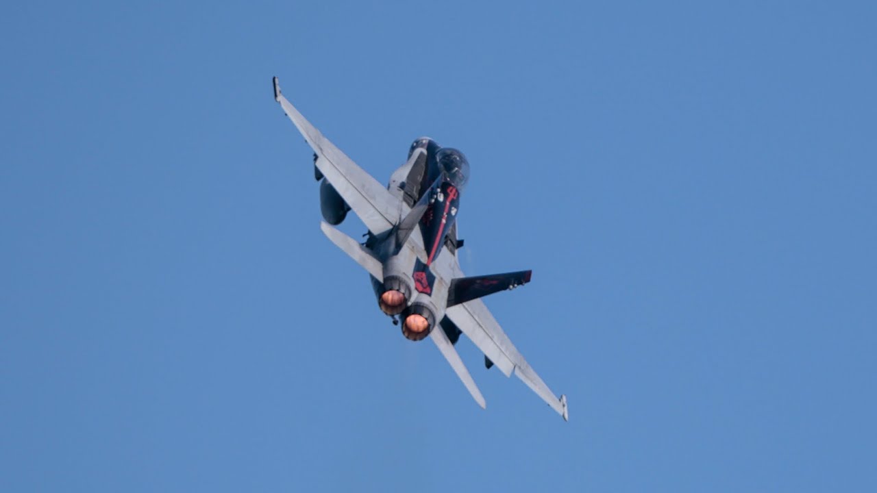 【基地散歩】2026年1月12日岩国基地　レッドデビルズ創設100周年記念塗装機とグラウラー部隊ブラック・レイヴンズ！