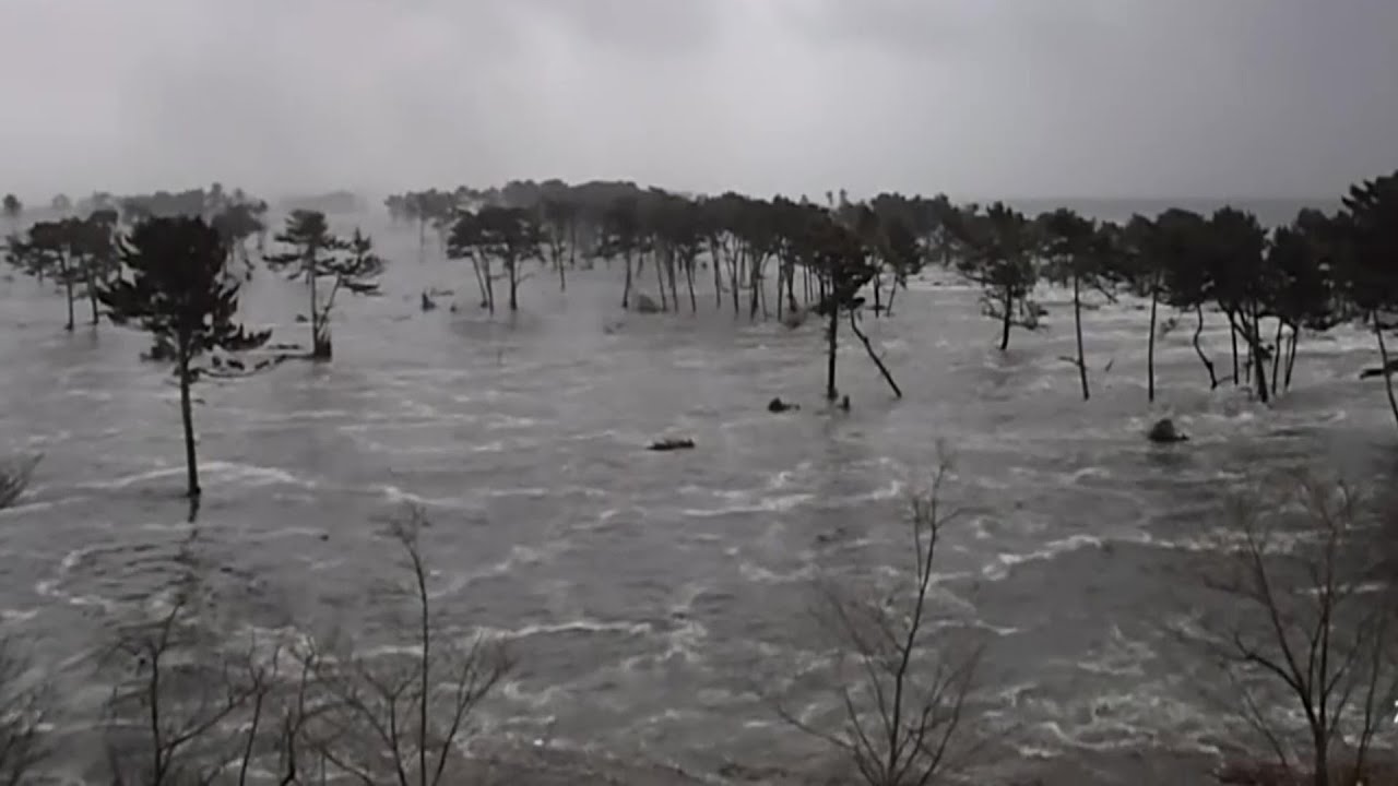 2011 Japan Tsunami - Wakabayashi-ku, Sendai City. (Full Footage)