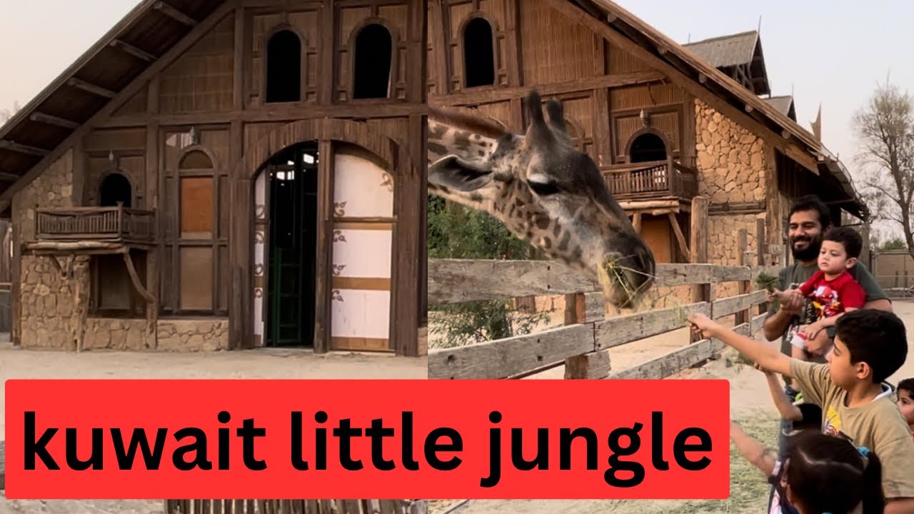 kuwait little jungle tour /Must visit place in kuwait /Best fun place for kids and families