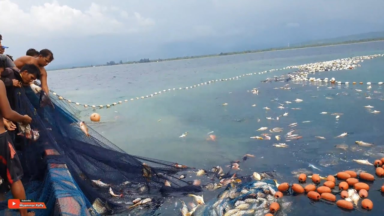 Begini Proses Penangkapan Ikan di malam Hari Dari Awal Hingga Selesai Gak nyangka Hasilnya  
