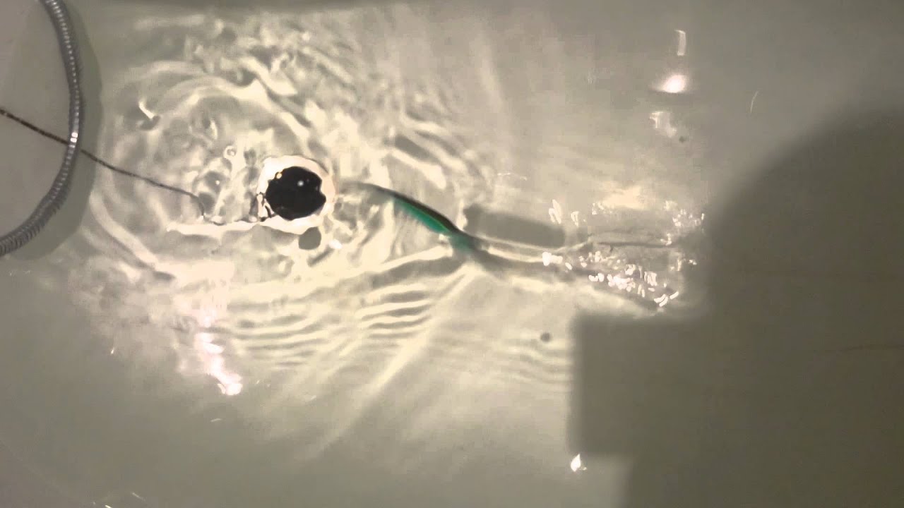 Тест Воблера Trulinoya