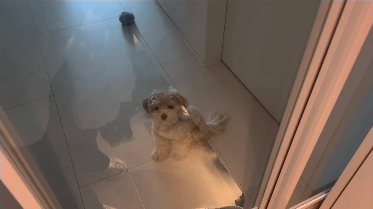 VLOG | 5개월 아기 육아 일상 브이로그 | 바쁘고 따뜻했던 우리가족의 일주일 기록 | 애개육아, 서울대병원, 주말 집들이 💙