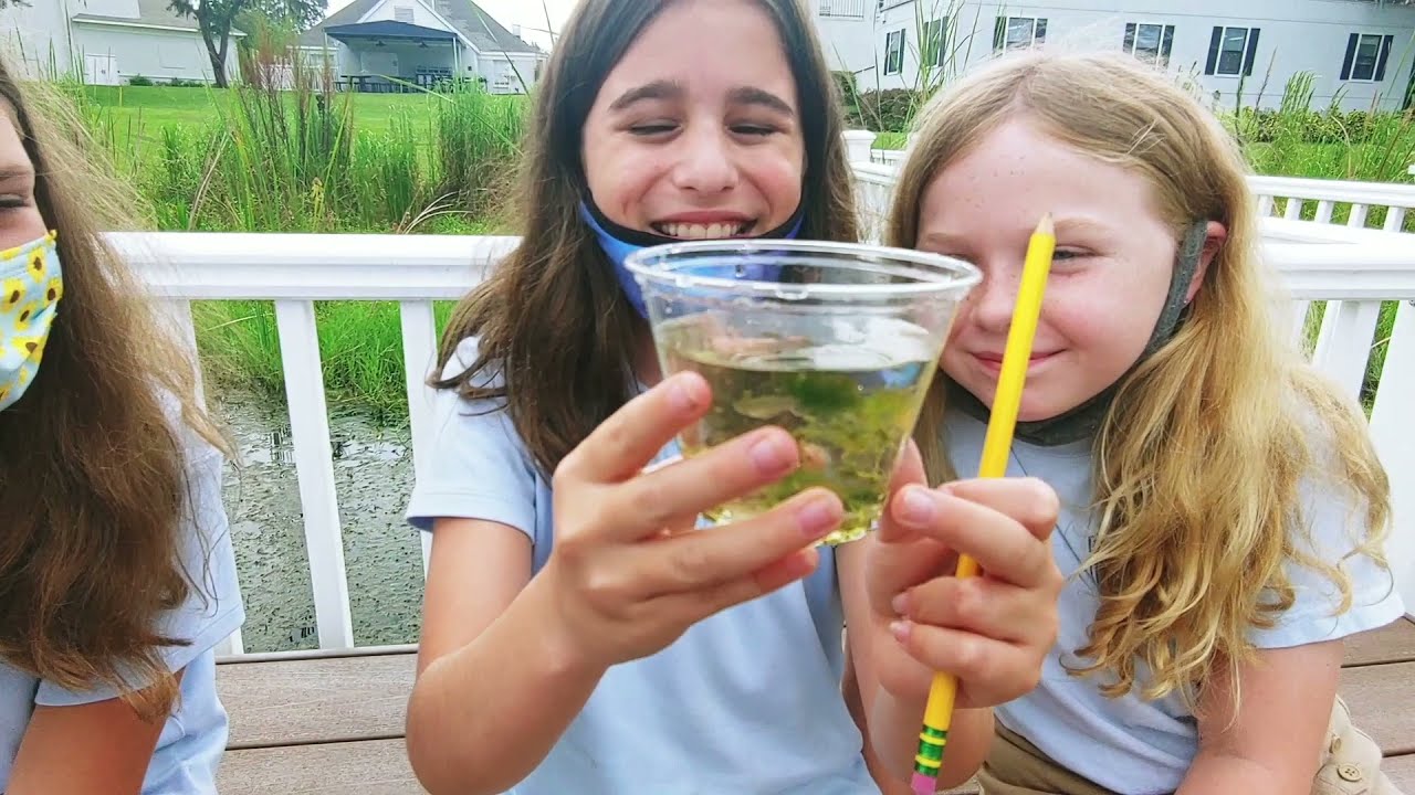 Academy at the Lakes