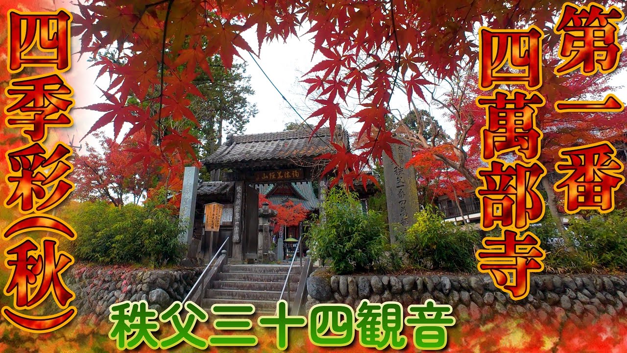 [4K]公認先達✨二巡目中に再訪🍂秩父札所1番四萬部寺❮しまぶじ❯TP429＠埼玉県秩父市[2025.11.18]第一番の御詠歌ソングはあのイメージでしたか、わかります🎵確かかつては寺子屋でしたよね😊